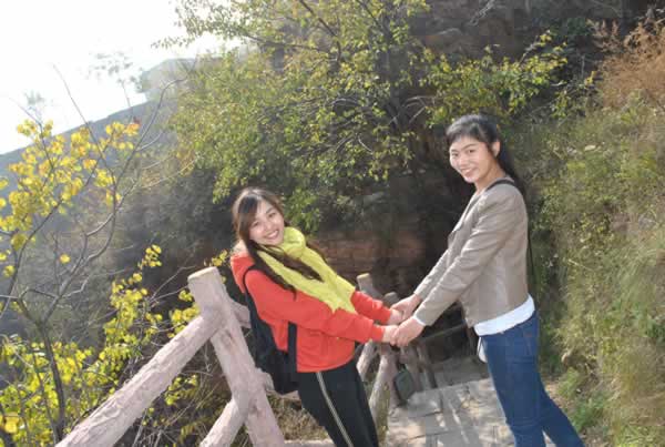 ���ݾW(w��ng)վ���O(sh��)����