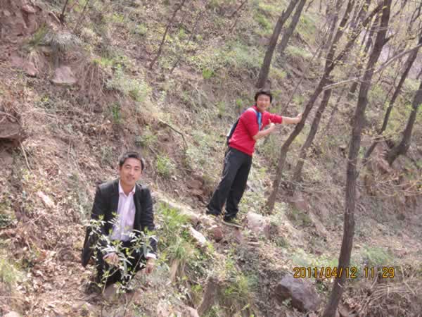 �ɂ�(g��)����Ą�(d��ng)��Ƭ