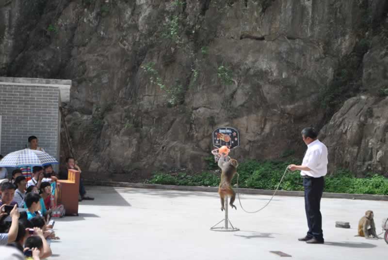 �Ʒ�5��19�Ճ�Ӱ�L���^(q��)���[����