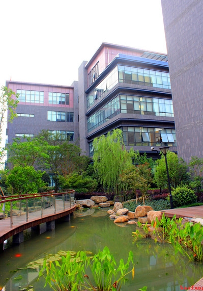 �W(w��ng)վ��(y��u)��֮�W(w��ng)վ����½���ԭ������Щ��