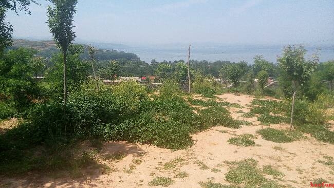 陸渾水庫服務(wù)區(qū)景色 陸渾水庫服務(wù)區(qū)景色