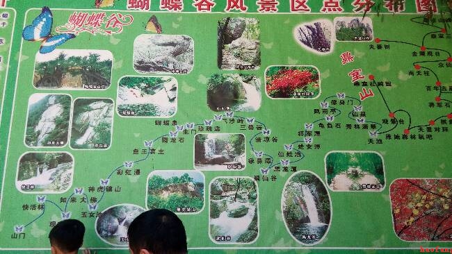 網(wǎng)站建設(shè)團隊在蝴蝶谷景區(qū) 網(wǎng)站建設(shè)團隊在蝴蝶谷景區(qū)