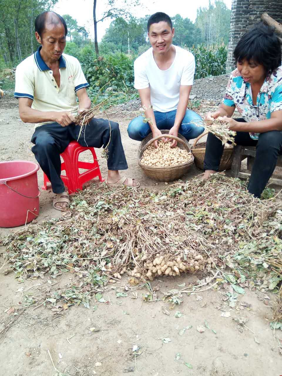 �Ʒ�2016���﹝(ji��)׌���c��ĸ�F(tu��n)�A���