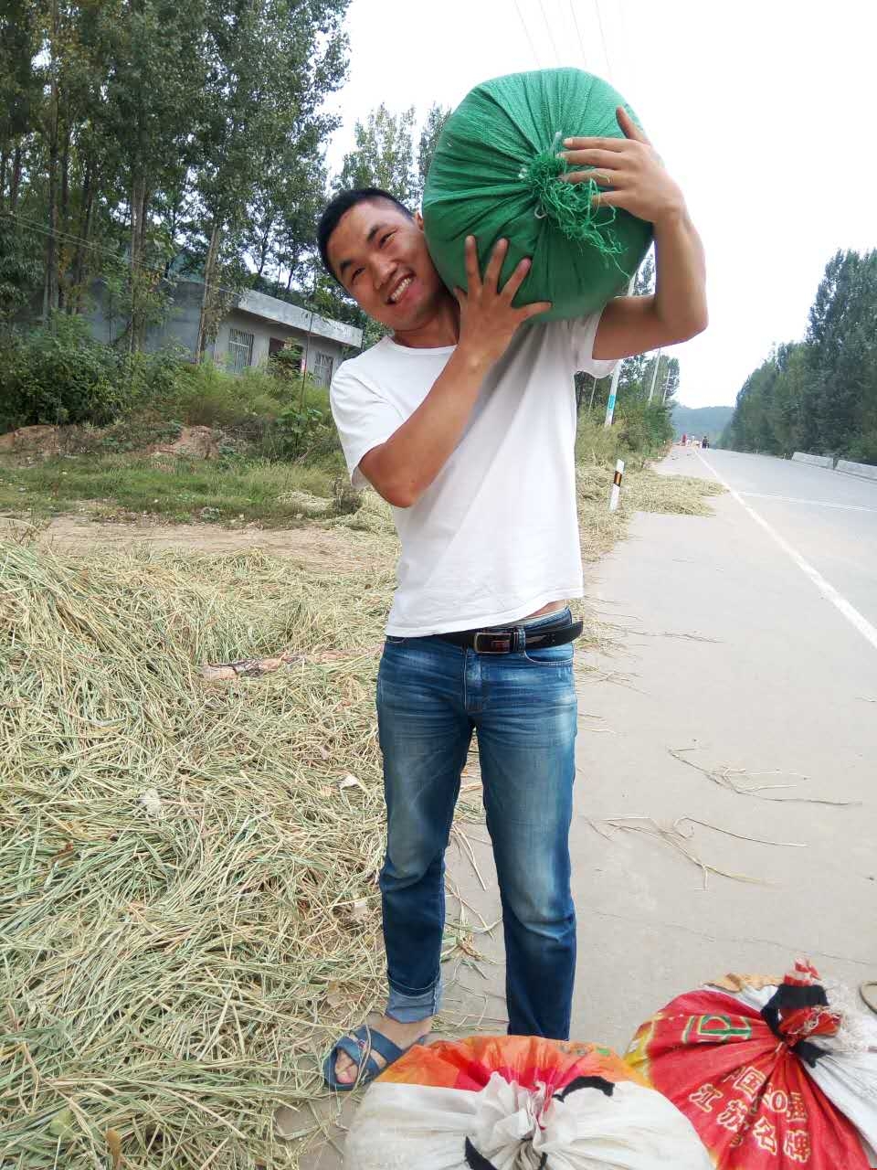 浩方網(wǎng)站建設(shè)團(tuán)隊(duì)陳經(jīng)理中秋節(jié)在家務(wù)農(nóng)www.98988.org 浩方網(wǎng)站建設(shè)團(tuán)隊(duì)陳經(jīng)理中秋節(jié)在家務(wù)農(nóng)www.98988.org