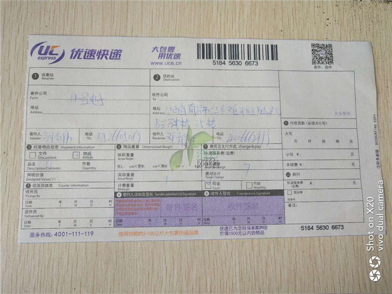 ������Ӻ����͑���������